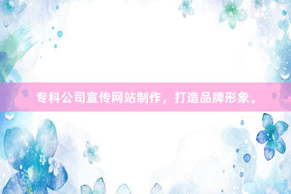 专科公司宣传网站制作，打造品牌形象。