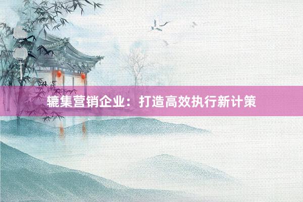 辘集营销企业：打造高效执行新计策